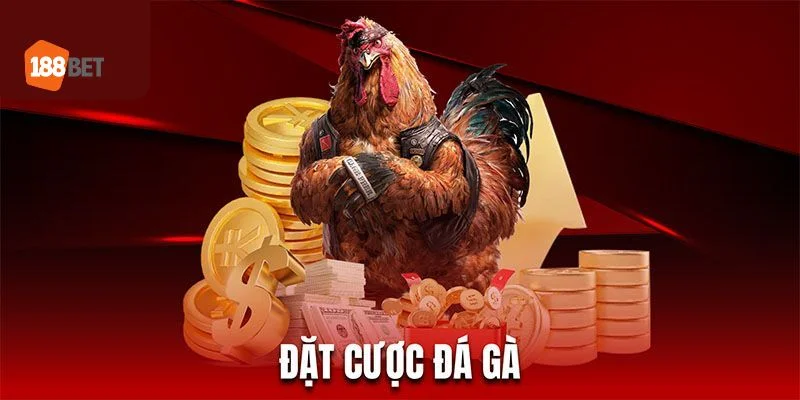 4 ưu điểm nổi bật tại sảnh game đá gà 188BET.