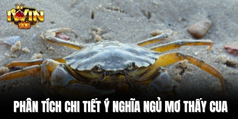 Phân tích chi tiết ý nghĩa ngủ mơ thấy cua