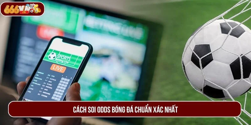 Bỏ túi các cách soi odds bóng đá chuẩn xác để rinh tiền thưởng về túi.