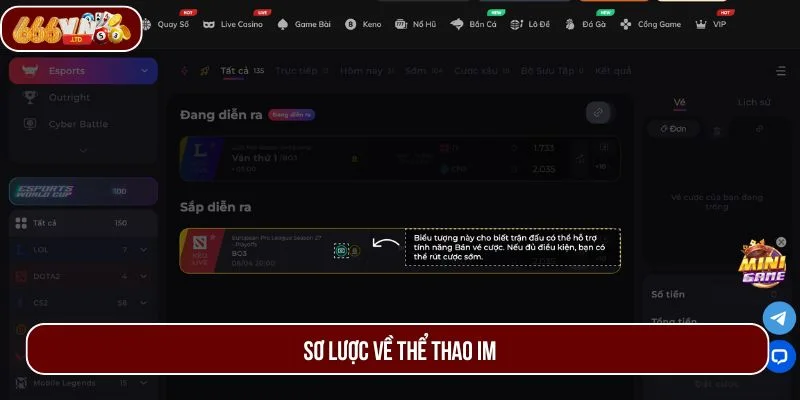 Đôi nét về sảnh thể thao IM tại nhà cái 666VN.