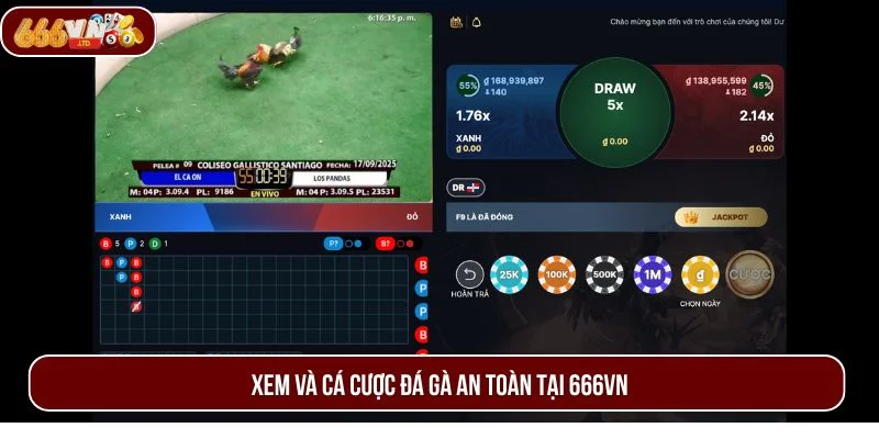 Giải pháp tuyệt vời khiến bạn không còn lo xem đá gà có bị phạt không.