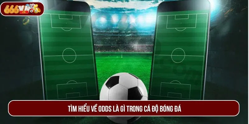 Giới thiệu về odds là gì trong cá độ bóng đá - chủ đề được quan tâm nhất.