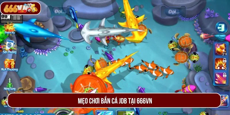 Học bí kíp chơi từ 666VN giúp bạn chinh phục bắn cá JDB trong tích tắc.