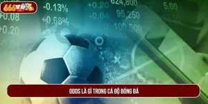 Khám Phá Odds Là Gì Trong Cá Độ Bóng Đá? Tỉ Lệ Odds Cần Biết