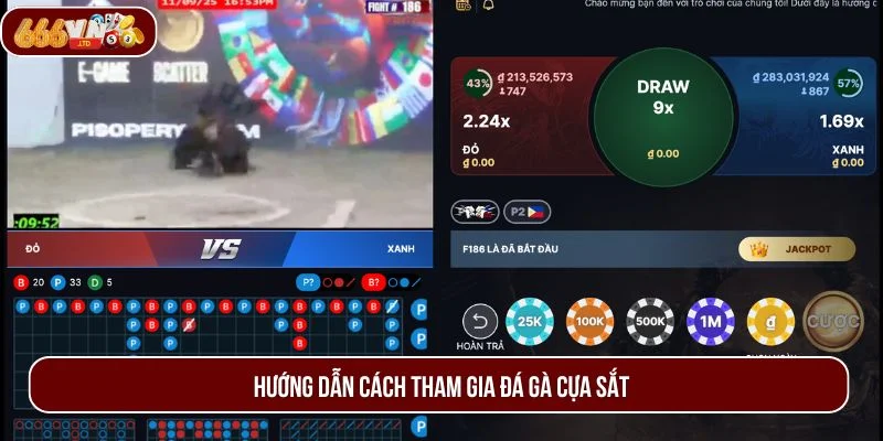 Tham gia đá gà cựa sắt nhanh chóng với hướng dẫn từ 666VN.