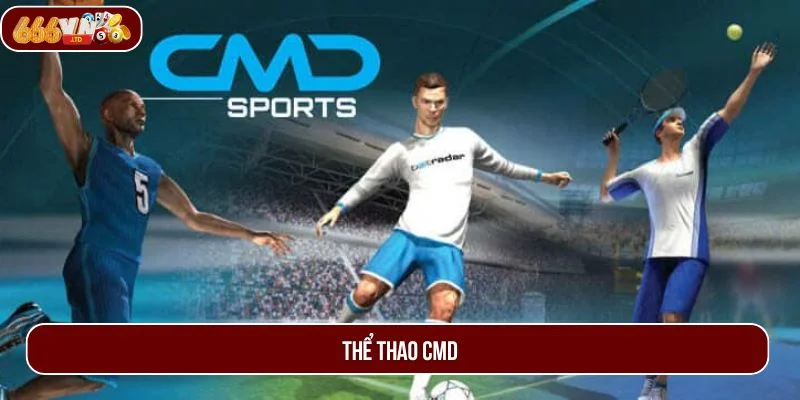 Thể Thao CMD – Trải Nghiệm Giải Trí Đẳng Cấp Cho Mọi Tín Đồ