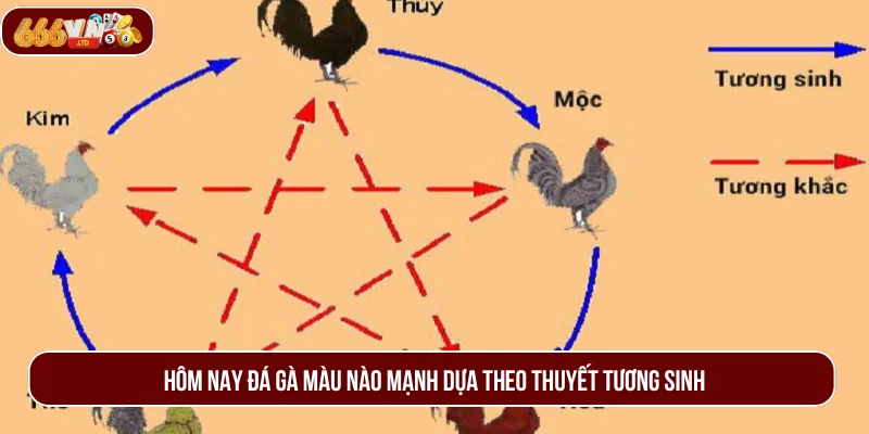 Tìm hiểu hôm nay đá gà màu nào mạnh theo yếu tố tương sinh