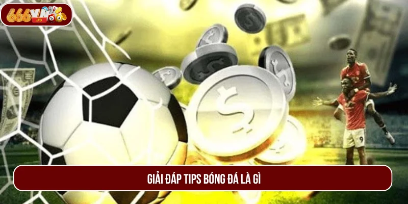 Tìm hiểu tips bóng đá là gì để áp dụng chuẩn hơn.