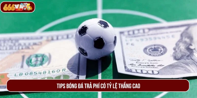 Tips bóng đá trả phí thường có tỷ lệ thắng cao hơn.