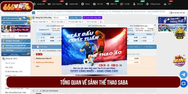 Tổng quan về thiên đường cá cược thể thao SABA 666VN.