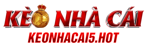 logo footer devseo4.online