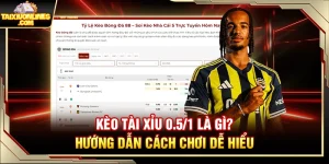 Kèo Tài Xỉu 0.5/1 Là Gì? Hướng Dẫn Cách Chơi Dễ Hiểu