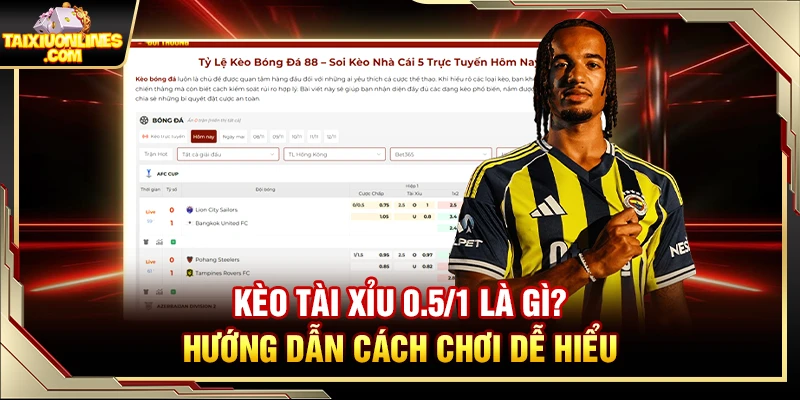 Kèo Tài Xỉu 0.5/1 Là Gì? Hướng Dẫn Cách Chơi Dễ Hiểu