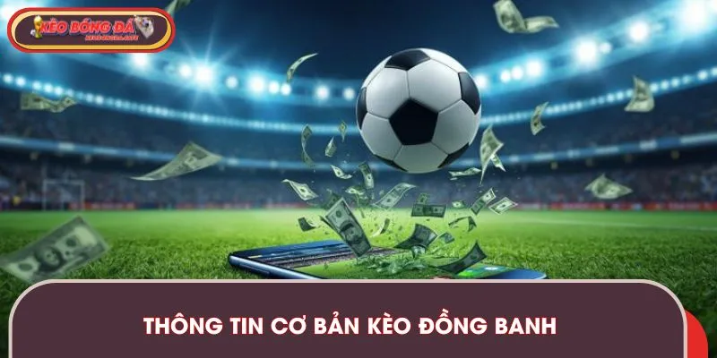 keo-dong-banh-thong-tin-co-ban