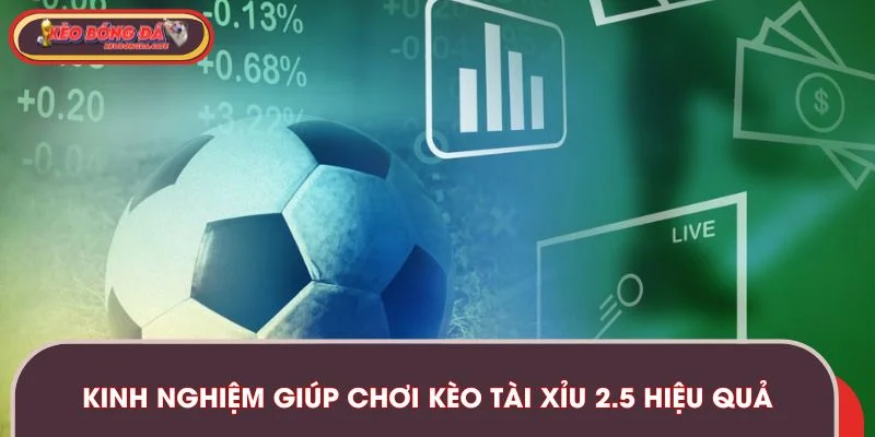 keo-tai-xiu-2-5-kinh-nghiem-choi