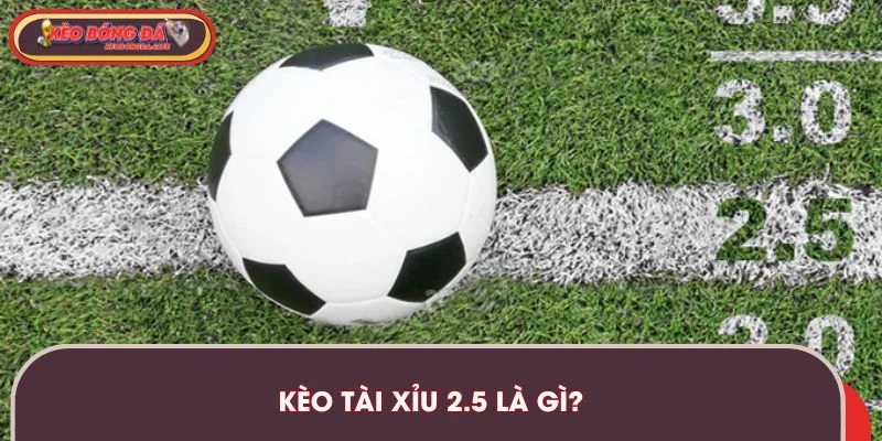 keo-tai-xiu-2-5-la-gi