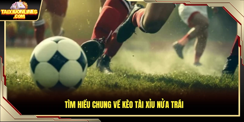 Tìm hiểu chung về kèo tài xỉu nửa trái