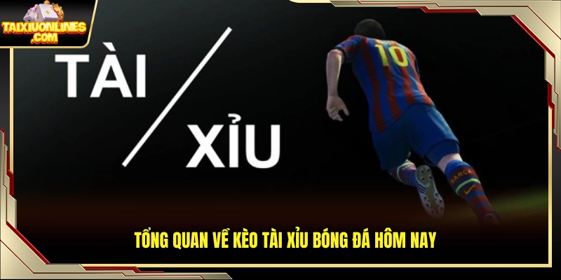 Khái quát tình hình soi kèo tài xỉu hôm nay