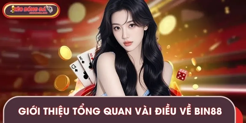 Giới thiệu tổng quan vài điều cơ bản về nhà cái BIN88