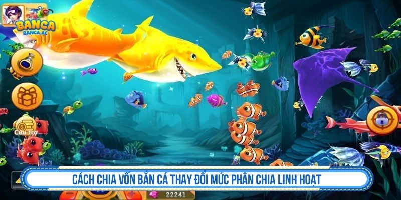 Cách chia vốn bắn cá theo từng phiên chơi