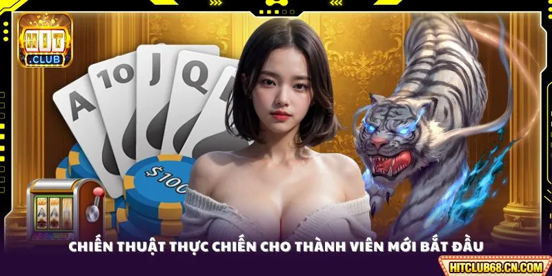Mẹo Đọc Cầu Rồng Hổ - Nâng Cao Trình Độ Cá Cược Online 3 Chiến thuật thực chiến cho thành viên mới bắt đầu