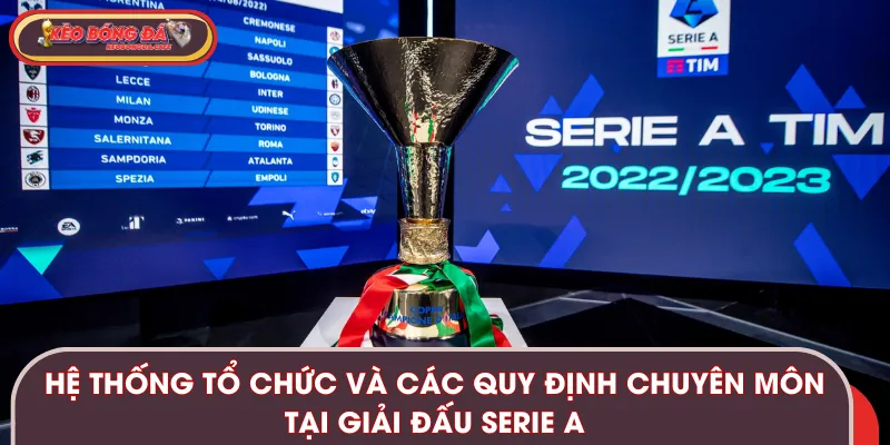 Hệ thống tổ chức và quy định chuyên môn của giải bóng đá