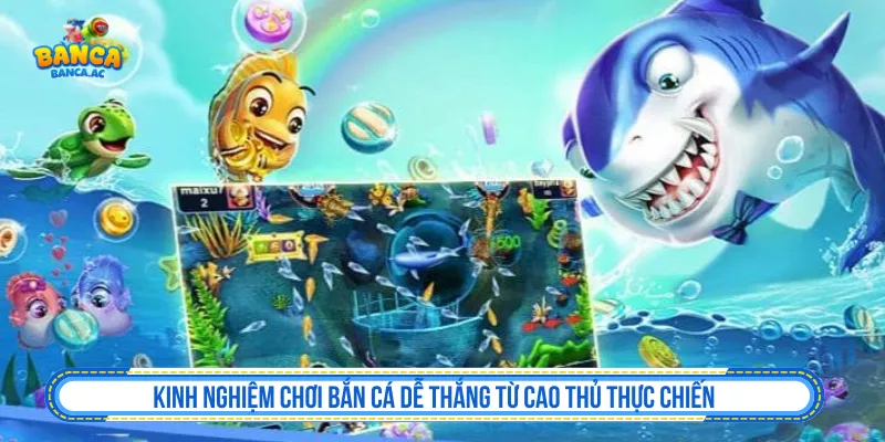 Kinh nghiệm chơi bắn cá dễ thắng từ việc quan sát bàn chơi