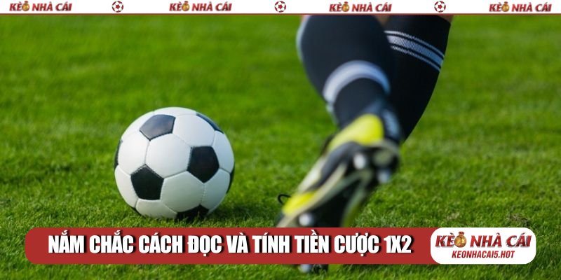 Nắm chắc cách đọc và tính tiền cược 1X2