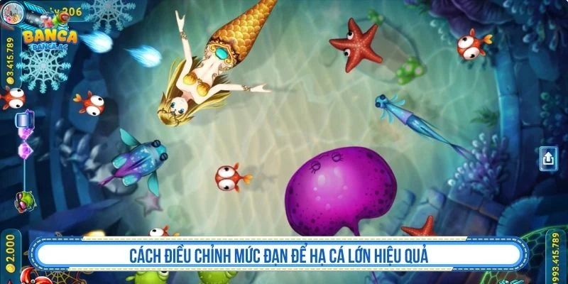 Điều chỉnh mức đạn khi áp dụng cách nhắm mục tiêu cá lớn