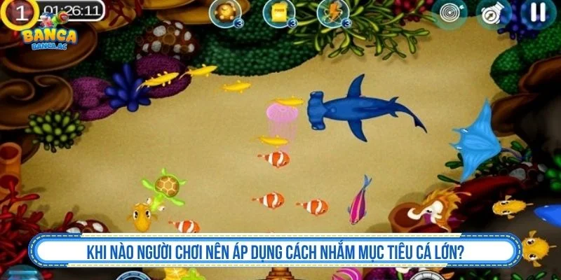 Chọn thời điểm áp dụng cách nhắm mục tiêu cá lớn
