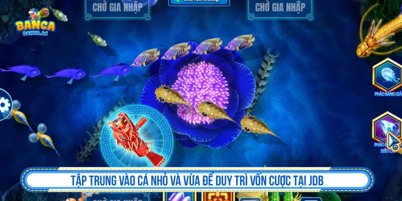 Ưu tiên cá nhỏ và cá vừa khi chơi bắn cá JDB