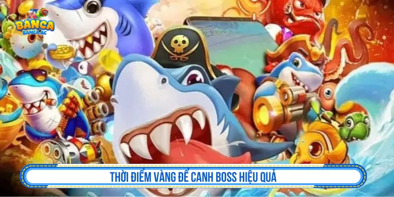 Thời điểm phù hợp để áp dụng chiến thuật canh boss khi chơi bắn cá