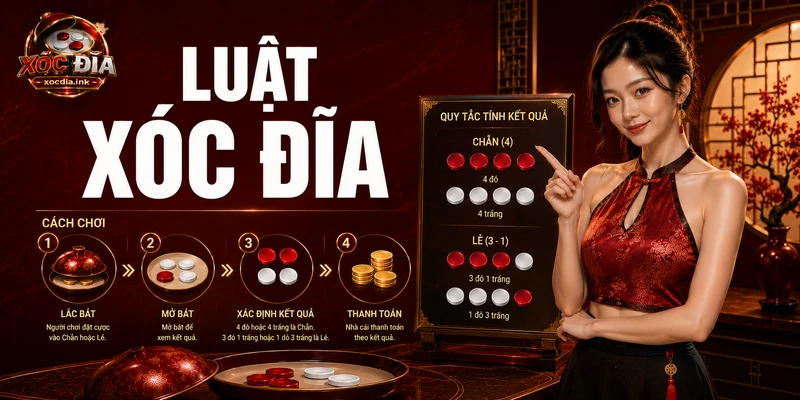 Luật Xóc Đĩa Cơ Bản Cho Người Mới Cần Biết