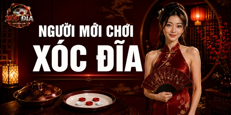 Người Mới Chơi Xóc Đĩa Nên Bắt Đầu Từ Đâu? Người mới chơi xóc đĩa