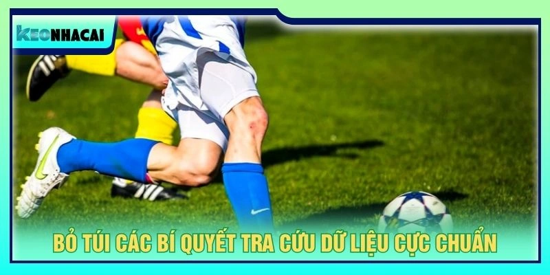 Bỏ túi các bí quyết tra cứu dữ liệu cực chuẩn