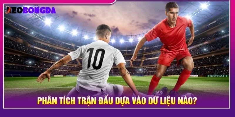 Các thông tin được đối chiếu từ dữ liệu thực tế