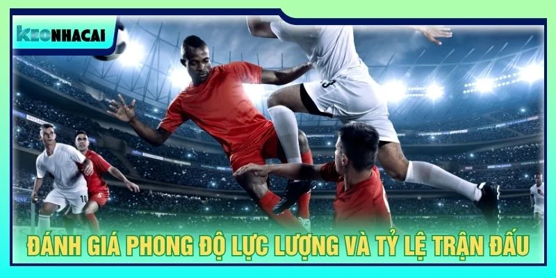Đánh giá phong độ lực lượng và tỷ lệ trận đấu