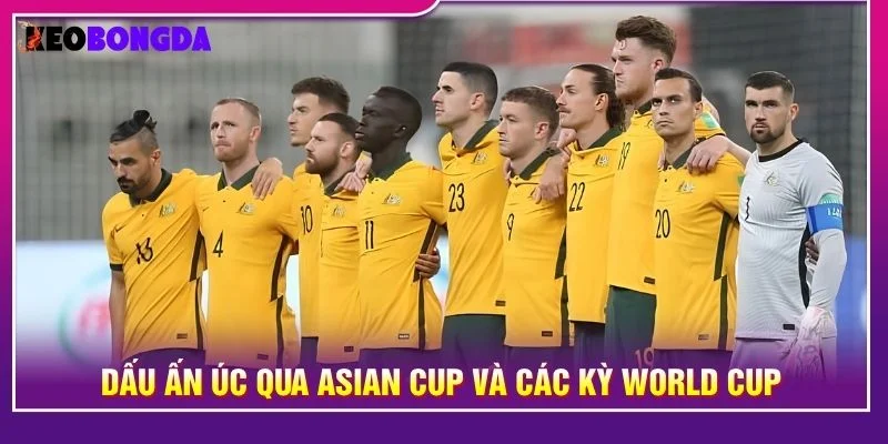 Dấu ấn Úc qua Asian Cup và các kỳ World Cup