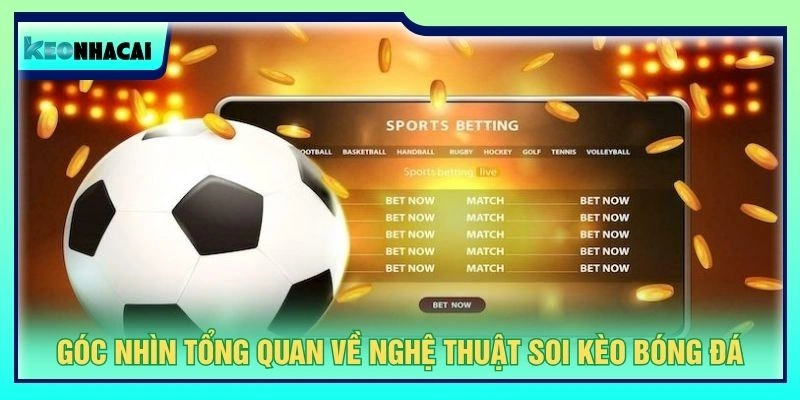 Góc nhìn tổng quan về nghệ thuật soi kèo bóng đá