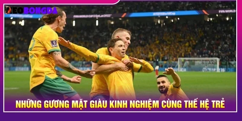 Những gương mặt giàu kinh nghiệm cùng thế hệ trẻ