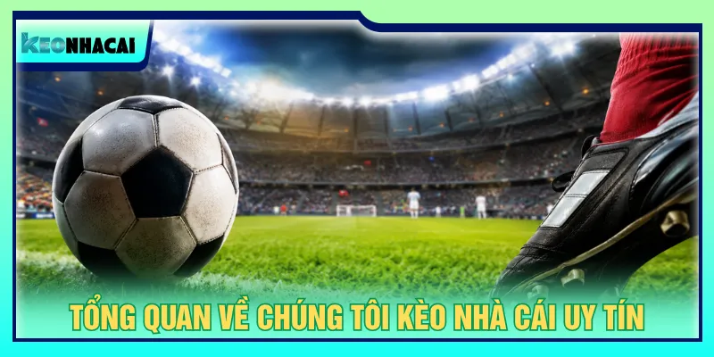 Về chúng tôi với dịch vụ theo nhu cầu người hâm mộ